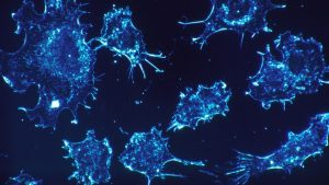 cancer-cell-culture-1024x575